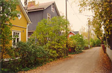 Tuomaankujalta, Helena Kantola