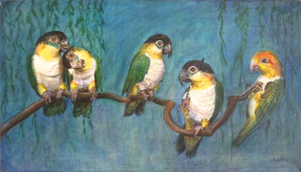 Kaijaset  <br>Öljy kankaalle, 2005	 	46cm x 80cm