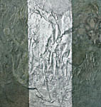 Kaukana varjot 1, Eeva Kokki