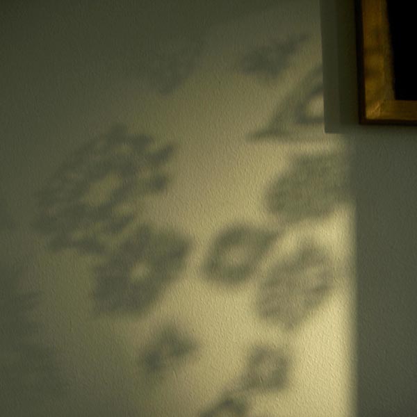 Varjoja, kuvia 7  <br>digivedos arkistokelpoiselle paperille, 2007 	25 x 25 cm