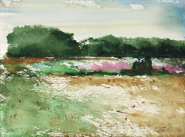 Kesäpäivä kului nopeasti  <br>akvarelli 2009