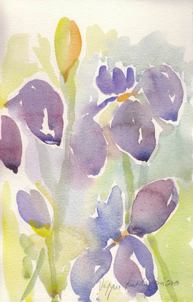 Kurjenmiekat  <br>akvarelli		2010