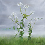 El&auml;m&auml;nlanka koiranputkella, Marja Tanninen