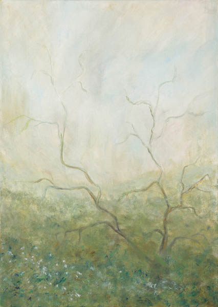 Erämaan aamu<br>  öljy