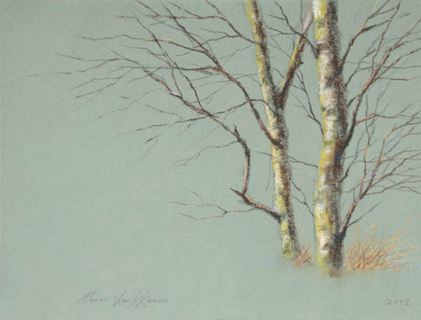 Nuoripari  <br>kuivapastelli 2012